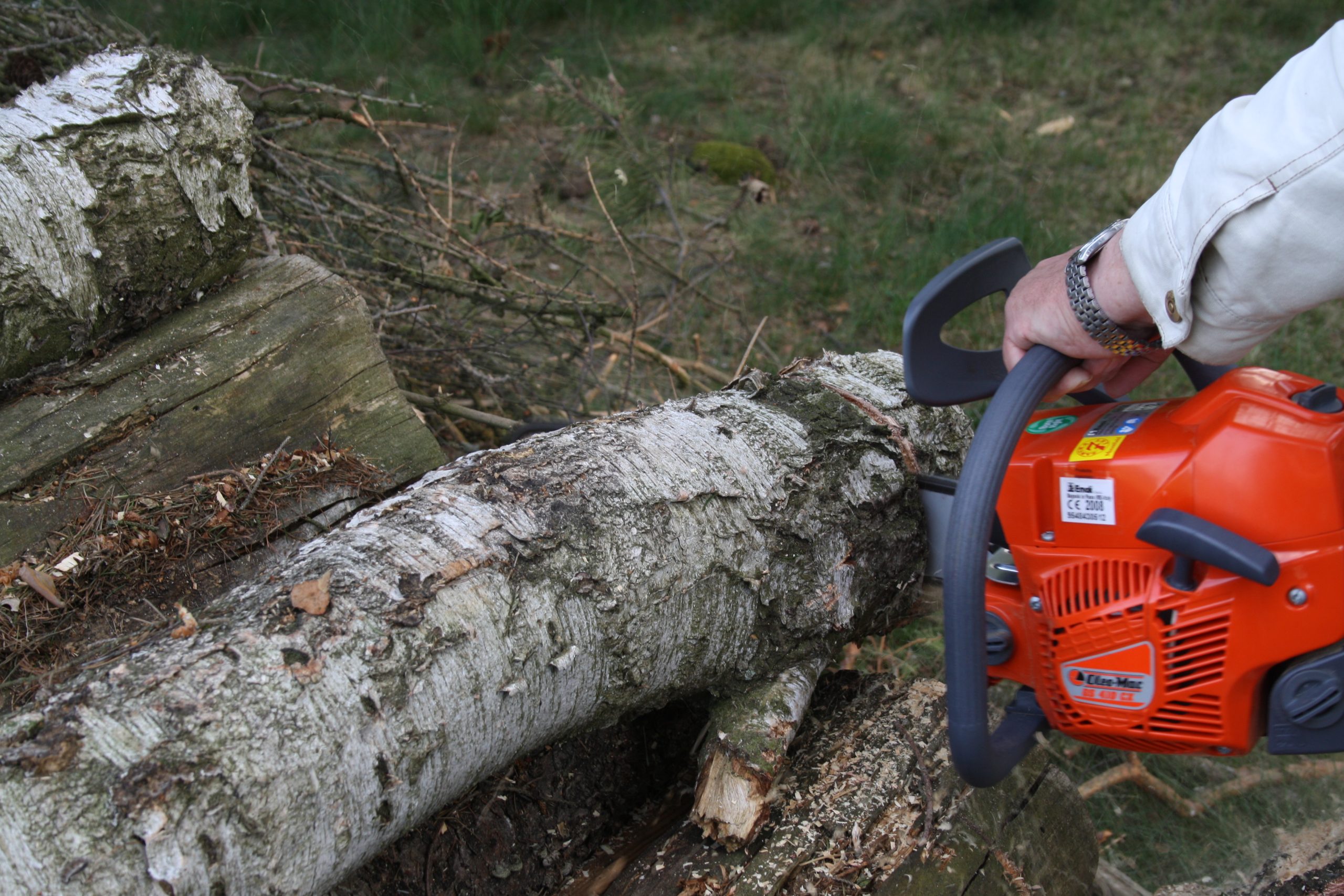 Можно ли пилить упавшие деревья