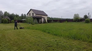 Покос травы газонокосилкой специалистами Arbori Culture на участке.