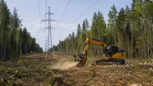Расчистка просеки под ЛЭП специалистами Arbori Culture с использованием профессиональной техники.
