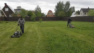 Стрижка газона специалистами Arbori Culture на участке.