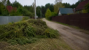 Участок до начала работ по вывозу мусора.