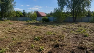 Участок до начала механизированных работ с трактором.