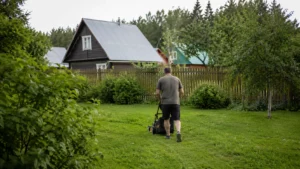 Выполнение работ по уходу за газоном специалистами Arbori Culture.