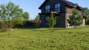 Участок после завершения покоса травы триммером компанией Arbori Culture.