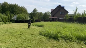 Выполнение работ по скашиванию травы триммером специалистами Arbori Culture.