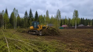 Проведение работ по расчистке участка от деревьев и кустарников.