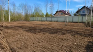 Участок после завершения расчистки под строительство компанией Arbori Culture.