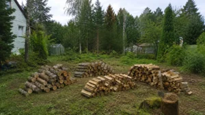 Подготовленные дрова после распиловки древесины компанией Arbori Culture.