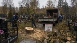 Проведение работ по удалению дерева на кладбище с применением профессионального оборудования.