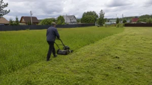 Уход за зелёной зоной — стрижка газона компанией Arbori Culture.