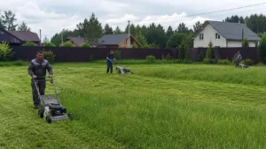 Уход за зелёной зоной — стрижка газона компанией Arbori Culture.