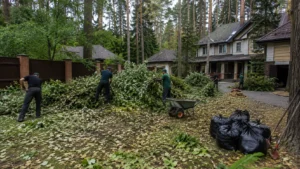 Подготовка участка с очисткой от мусора и нежелательной растительности.