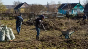 Уборка садового участка специалистами Arbori Culture.