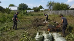 Проведение работ по очистке садового участка от мусора и растительных остатков.