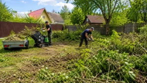 Очистка участка с вывозом мусора компанией Arbori Culture.