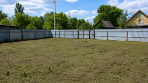 Участок после завершения вывоза мусора компанией Arbori Culture.