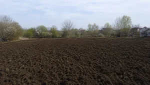 Участок после вспашки мотоблоком компанией Arbori Culture.