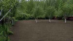Участок после завершения выравнивания под газон компанией Arbori Culture.