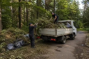 Этап погрузки мусора для последующей транспортировки и утилизации.