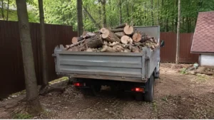 Результат вывоза спиленных деревьев после распиловки компанией Arbori Culture — полностью очищенная территория участка.